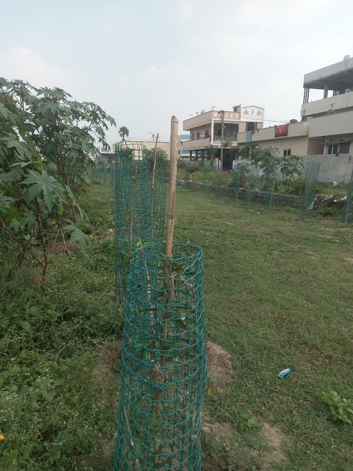 OPEN PLOT FOR SALE AT KUK